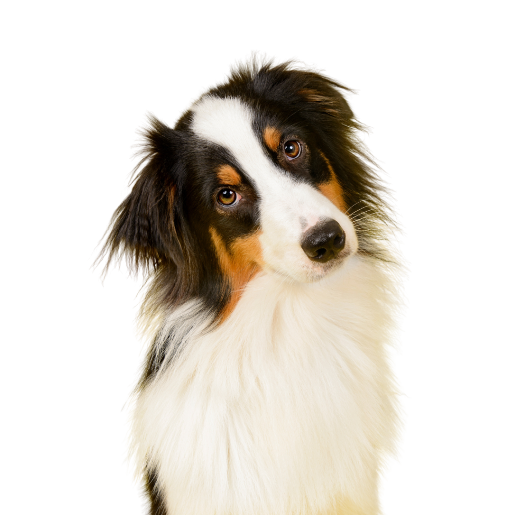 Atendimento domiciliar