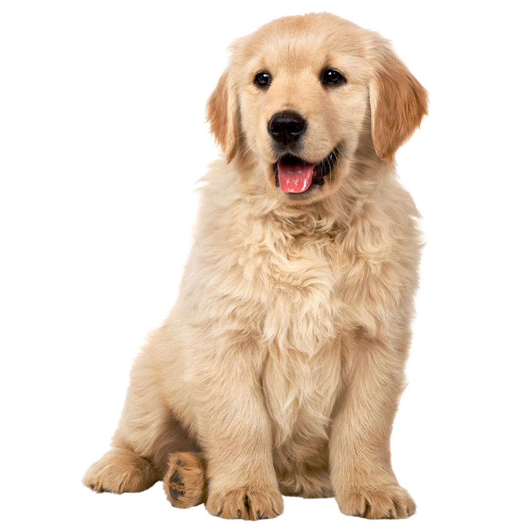 Atendimento domiciliar